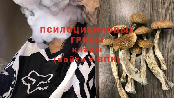 jwh Дмитров